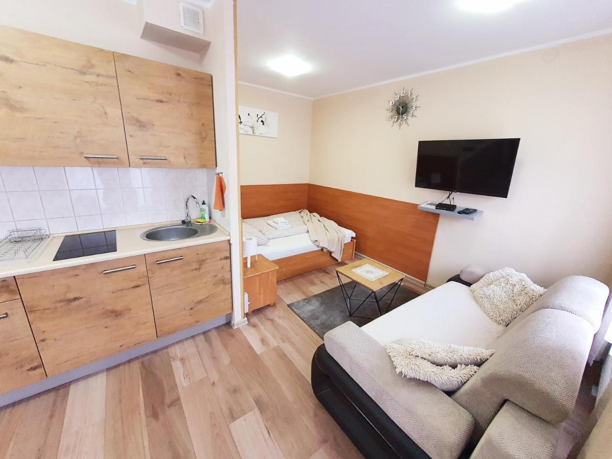 Aparthouse Apartamenty Centrum - In The City Center Near The Train Station كاتوفيتسه المظهر الخارجي الصورة