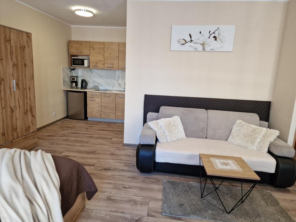 Aparthouse Apartamenty Centrum - In The City Center Near The Train Station كاتوفيتسه المظهر الخارجي الصورة